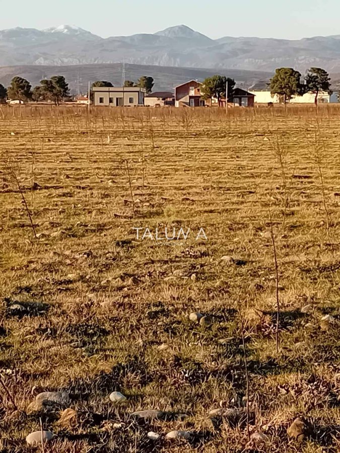 Plac, 3.000 m², Donji Kokoti, Podgorica – fotografija 2