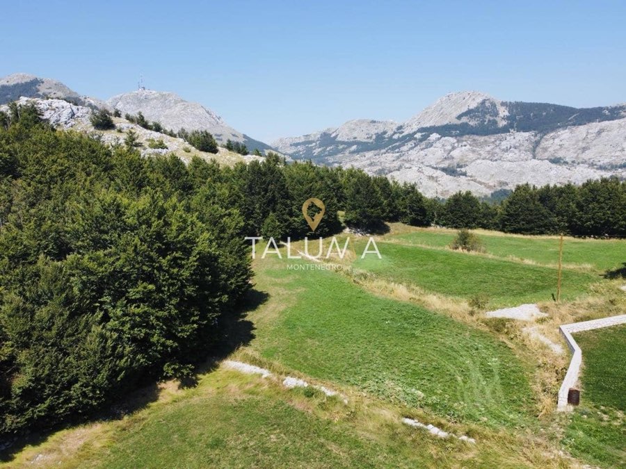 Plac, 4.269 m², Ivanova Korita, Cetinje