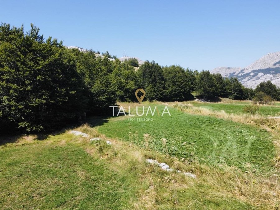 Plac, 4.269 m², Ivanova Korita, Cetinje – fotografija 3