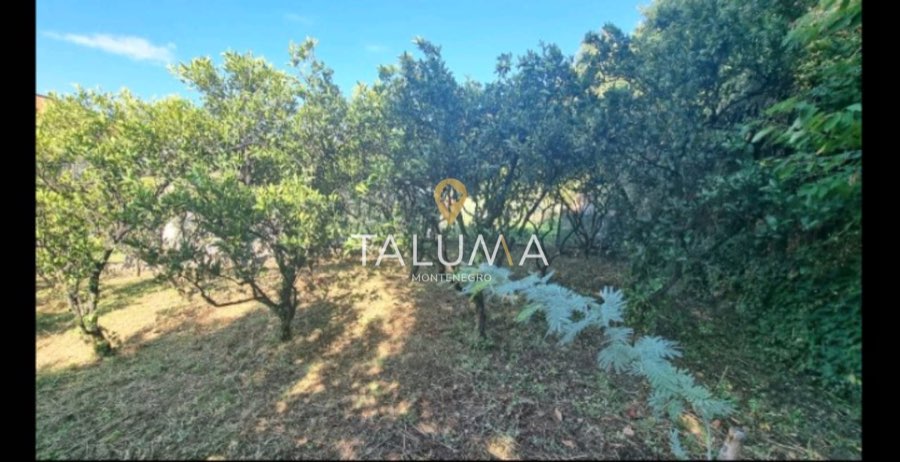 Terreno, 1.658 m², Kumbor, Herceg Novi – foto 4