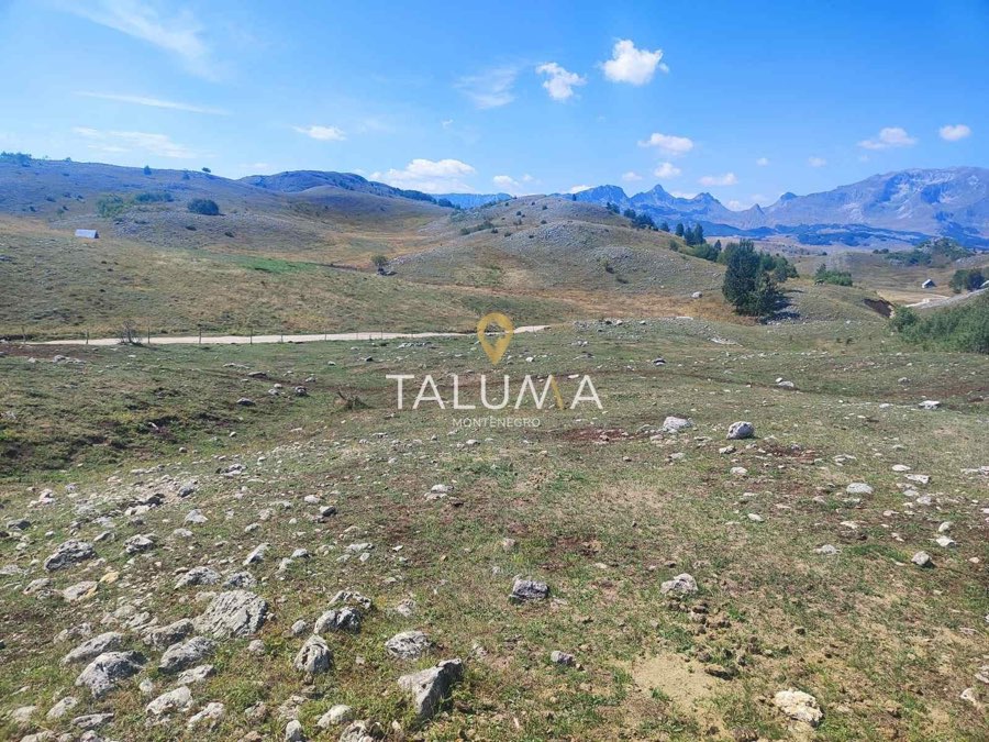 Plac, 65.000 m², Merulja, Žabljak