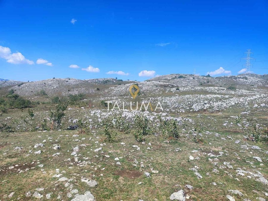 Land plot, 65,000 m², Merulja, Žabljak – photo 3