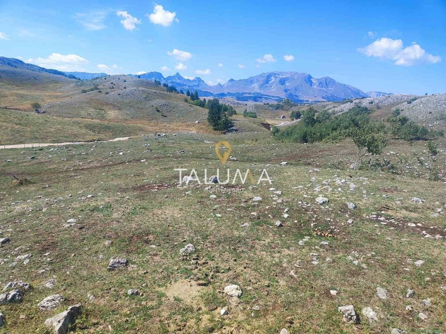 Plac, 65.000 m², Merulja, Žabljak – fotografija 2
