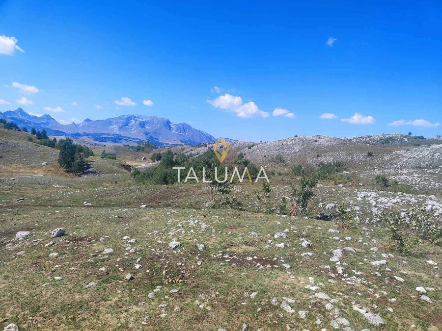 Plac, 65.000 m², Merulja, Žabljak – fotografija 4