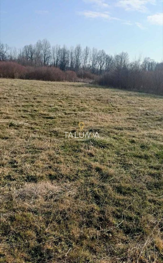 Plac, 4.478 m², Kosić, Danilovgrad