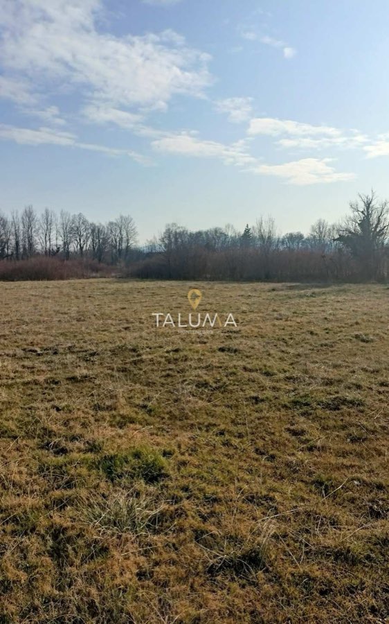 Plac, 4.478 m², Kosić, Danilovgrad – fotografija 2