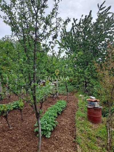 Grundstück, 660 m², Mokrine, Herceg Novi – Foto 2