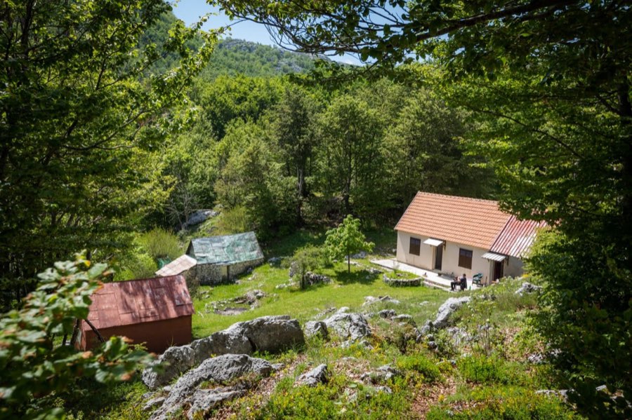 Plac, 198.000 m², Ivanova Korita, Cetinje