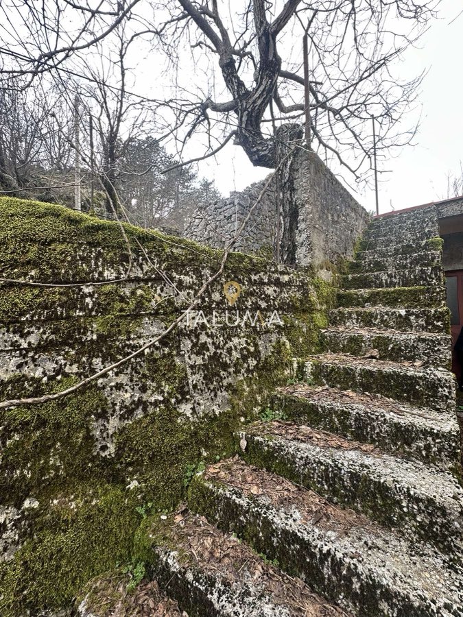 Kuća, 195 m², Medovina, Cetinje – fotografija 5