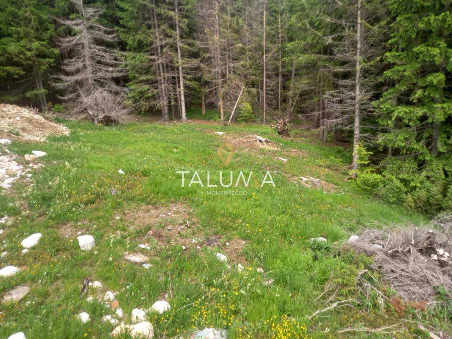 Plac, 233 m², Žabljak, centar