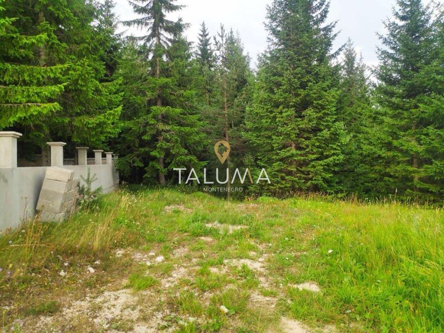 Plac, 233 m², Žabljak, centar – fotografija 3