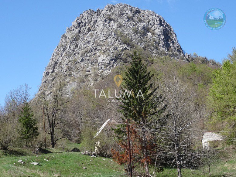Plac, 75.000 m², Crkvine, Kolašin – fotografija 2