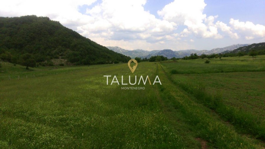 Plac, 218.000 m², Grahovo, Nikšić