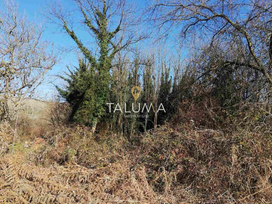 Plac, 6.100 m², Orja Luka, Danilovgrad – fotografija 2