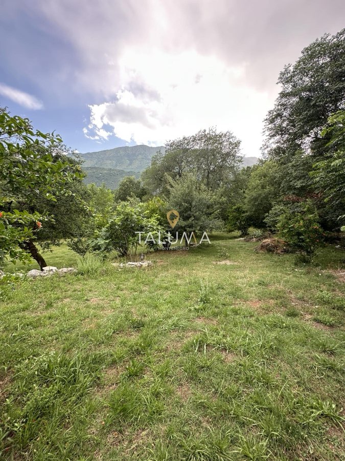 Kuća, 276 m², Orja Luka, Danilovgrad – fotografija 5