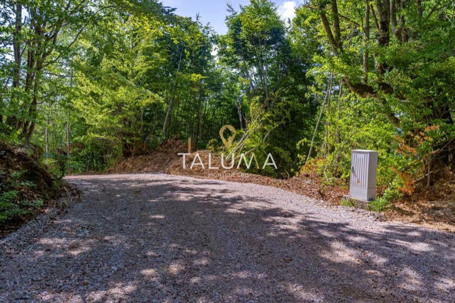 Plac, 43.527 m², Šljivovica, Kolašin – fotografija 3