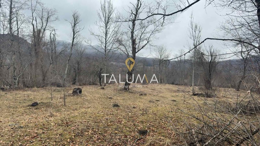 Plac, 6.449 m², Blatina, Kolašin – fotografija 2