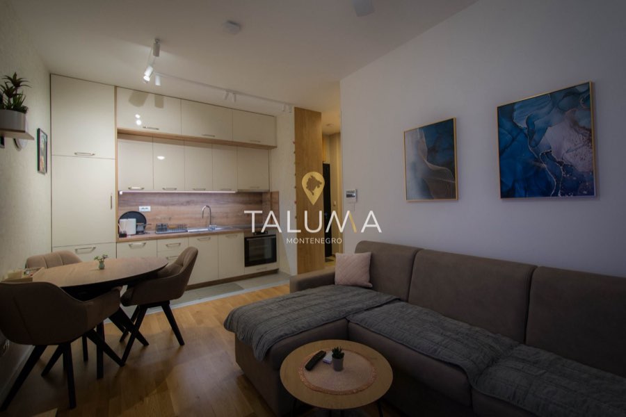 Dnevni boravak – Jednosoban stan, 42 m², Tološi, Podgorica (P 694)