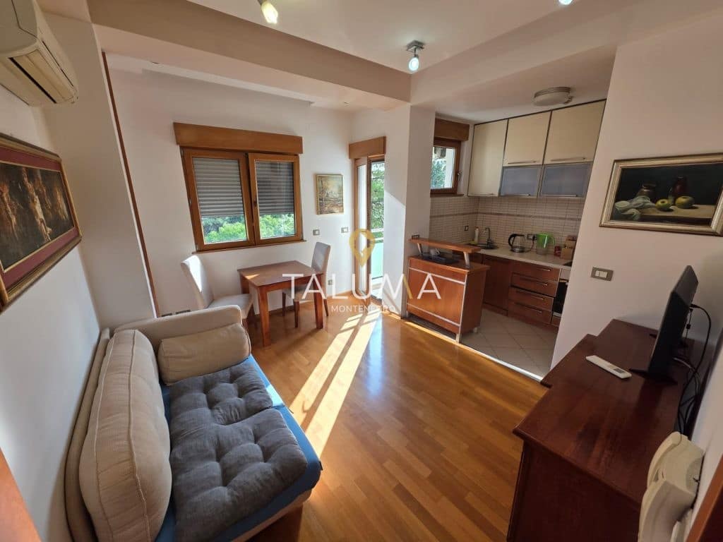 Izdavanje, jednosoban stan, Preko Morače, Podgorica