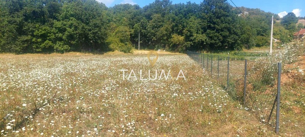 prodaja placa Nikšić