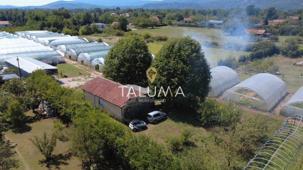 prodaja kuća Danilovgrad