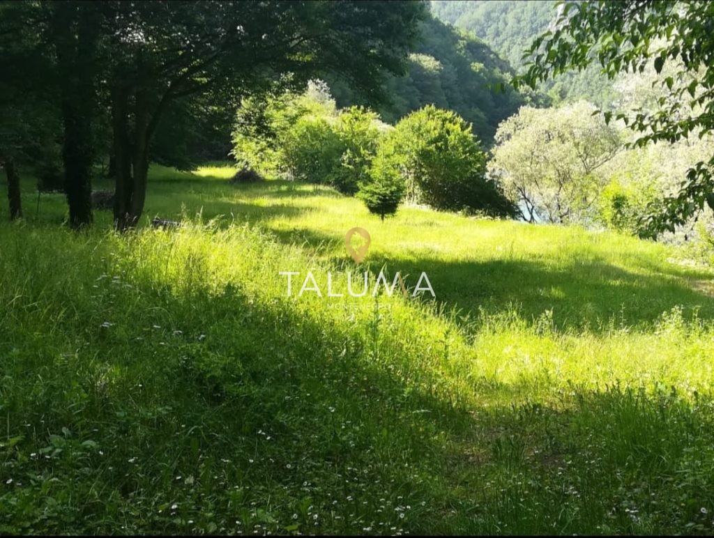 Prodaja plac Plužina